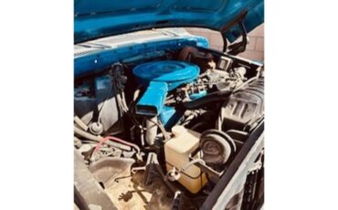 Ford-F250-1977-Blue-Blue-5