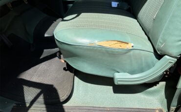 Ford-F250-1981-Medium-Dark-Spruce-Spruce-1