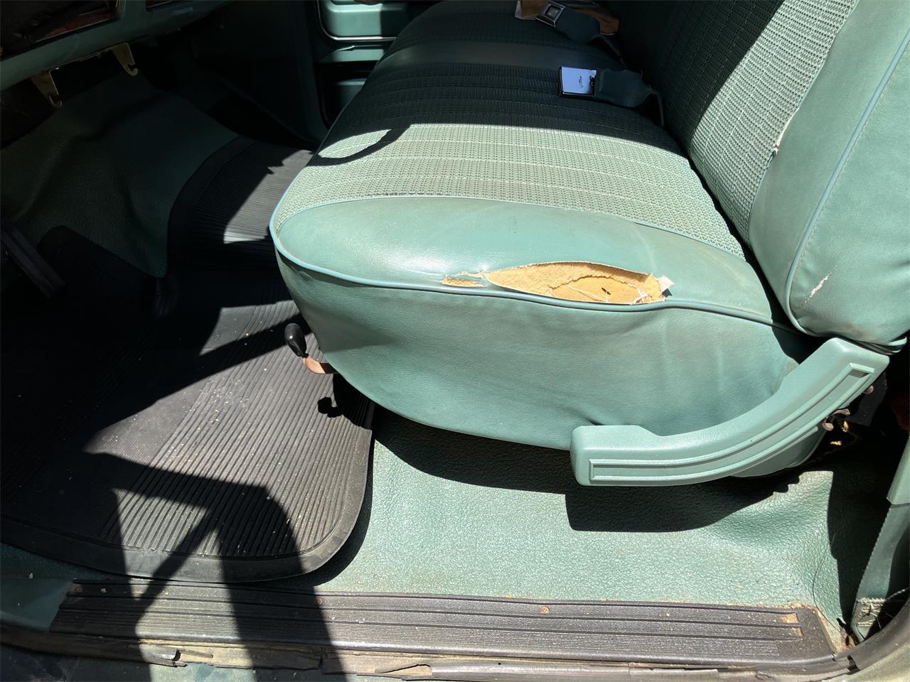 Ford-F250-1981-Medium-Dark-Spruce-Spruce-1