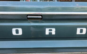 Ford-F250-1981-Medium-Dark-Spruce-Spruce-10