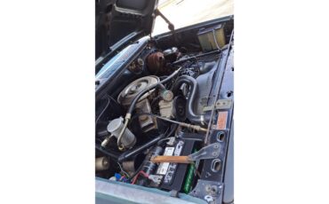 Ford-F250-1981-Medium-Dark-Spruce-Spruce-13