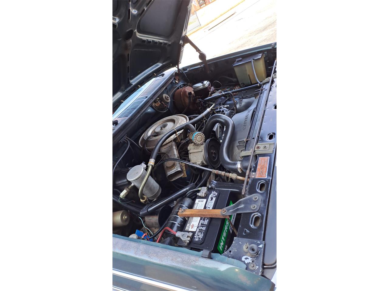 Ford-F250-1981-Medium-Dark-Spruce-Spruce-13