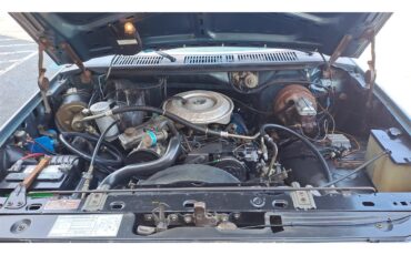 Ford-F250-1981-Medium-Dark-Spruce-Spruce-14