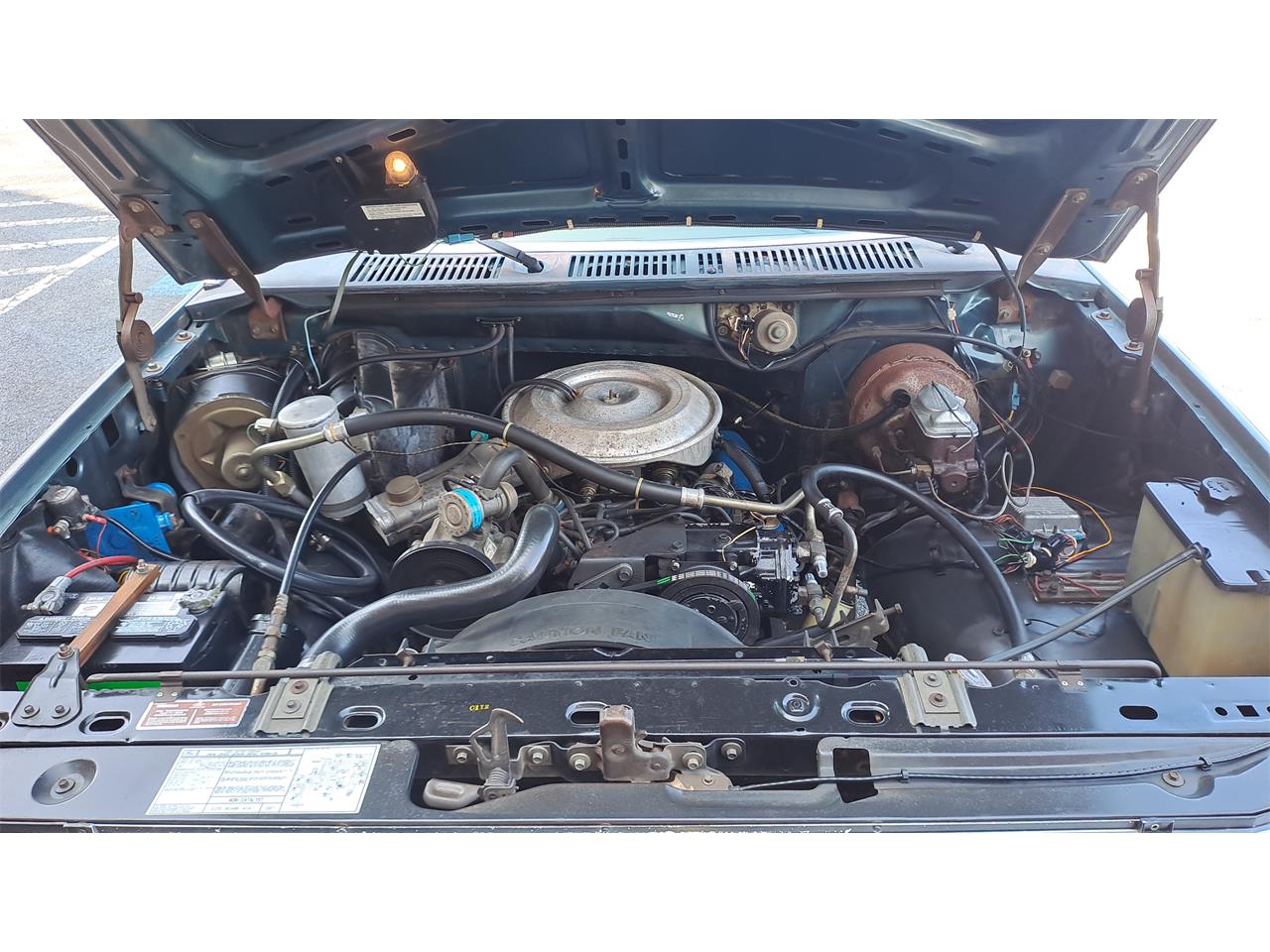 Ford-F250-1981-Medium-Dark-Spruce-Spruce-14