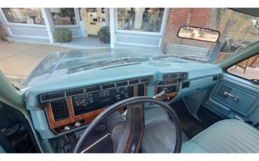 Ford-F250-1981-Medium-Dark-Spruce-Spruce-2