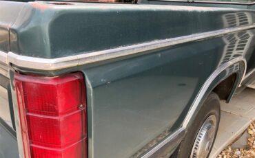 Ford-F250-1981-Medium-Dark-Spruce-Spruce-21