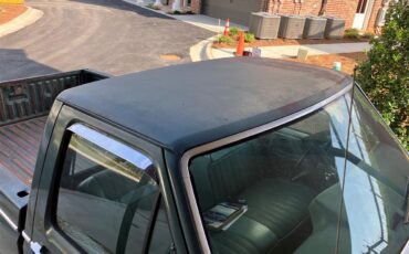 Ford-F250-1981-Medium-Dark-Spruce-Spruce-23