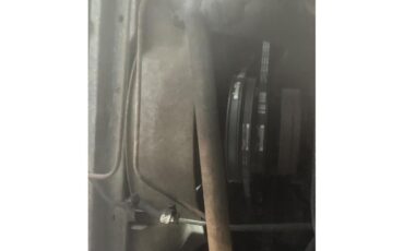 Ford-F250-1981-Medium-Dark-Spruce-Spruce-28