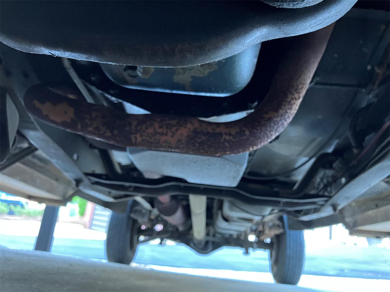 Ford-F250-1981-Medium-Dark-Spruce-Spruce-29