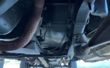 Ford-F250-1981-Medium-Dark-Spruce-Spruce-30