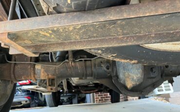 Ford-F250-1981-Medium-Dark-Spruce-Spruce-36