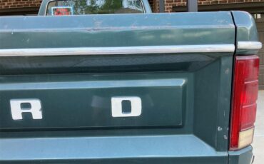 Ford-F250-1981-Medium-Dark-Spruce-Spruce-38
