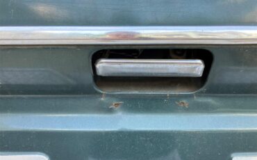 Ford-F250-1981-Medium-Dark-Spruce-Spruce-39