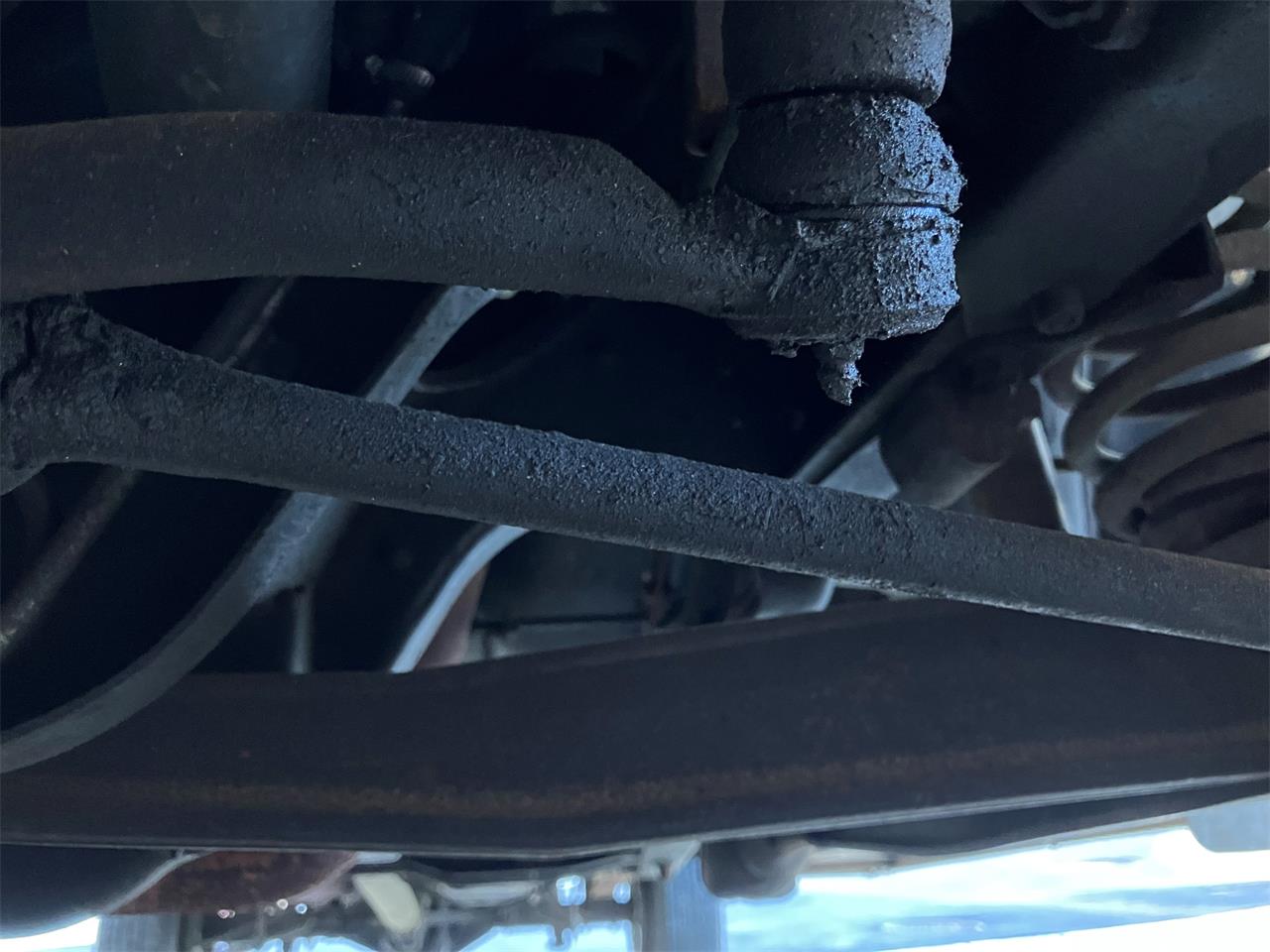 Ford-F250-1981-Medium-Dark-Spruce-Spruce-4