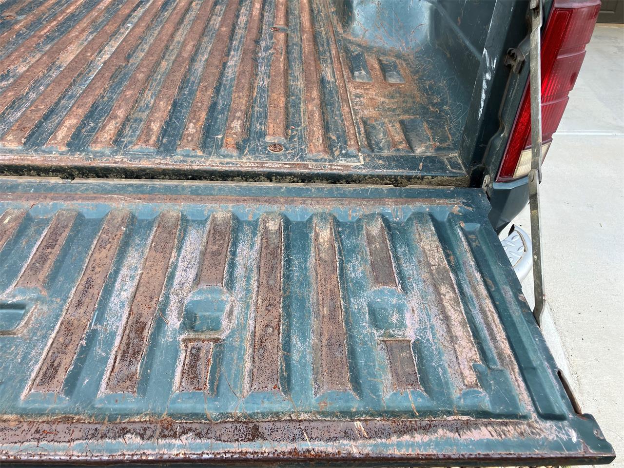 Ford-F250-1981-Medium-Dark-Spruce-Spruce-42