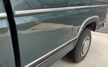 Ford-F250-1981-Medium-Dark-Spruce-Spruce-46