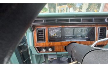 Ford-F250-1981-Medium-Dark-Spruce-Spruce-6