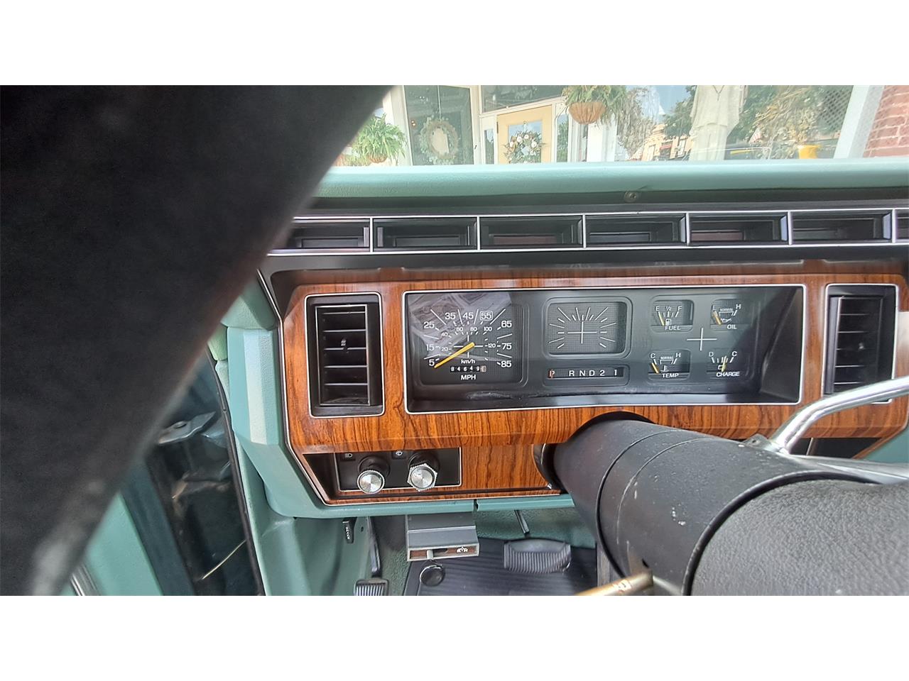 Ford-F250-1981-Medium-Dark-Spruce-Spruce-6