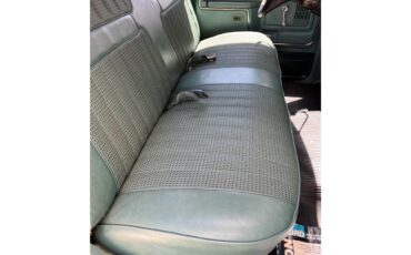 Ford-F250-1981-Medium-Dark-Spruce-Spruce-7
