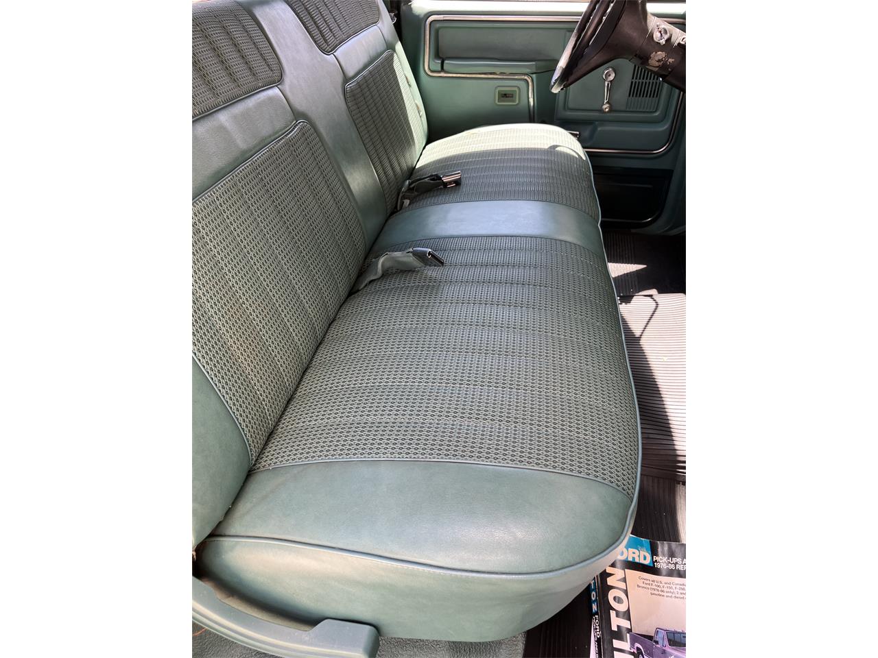Ford-F250-1981-Medium-Dark-Spruce-Spruce-7