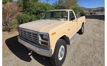 Ford-F250-1985-Tan-Tan-1