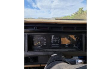 Ford-F250-1985-Tan-Tan-10