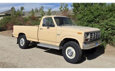 Ford-F250-1985-Tan-Tan-11