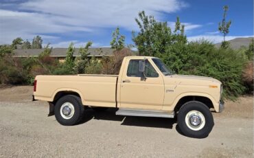 Ford-F250-1985-Tan-Tan-12