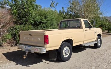 Ford-F250-1985-Tan-Tan-14