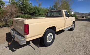 Ford-F250-1985-Tan-Tan-15