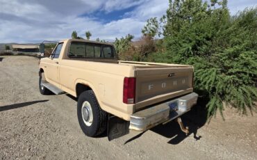 Ford-F250-1985-Tan-Tan-17