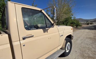 Ford-F250-1985-Tan-Tan-18