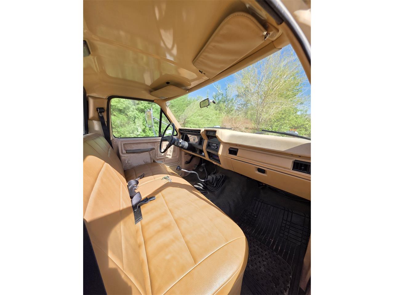 Ford-F250-1985-Tan-Tan-19