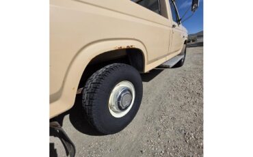 Ford-F250-1985-Tan-Tan-24