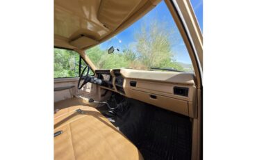 Ford-F250-1985-Tan-Tan-27