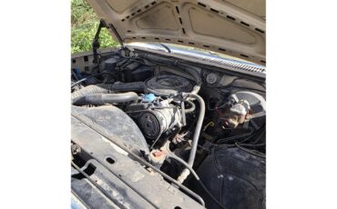 Ford-F250-1985-Tan-Tan-28