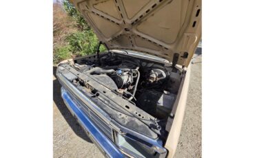 Ford-F250-1985-Tan-Tan-29