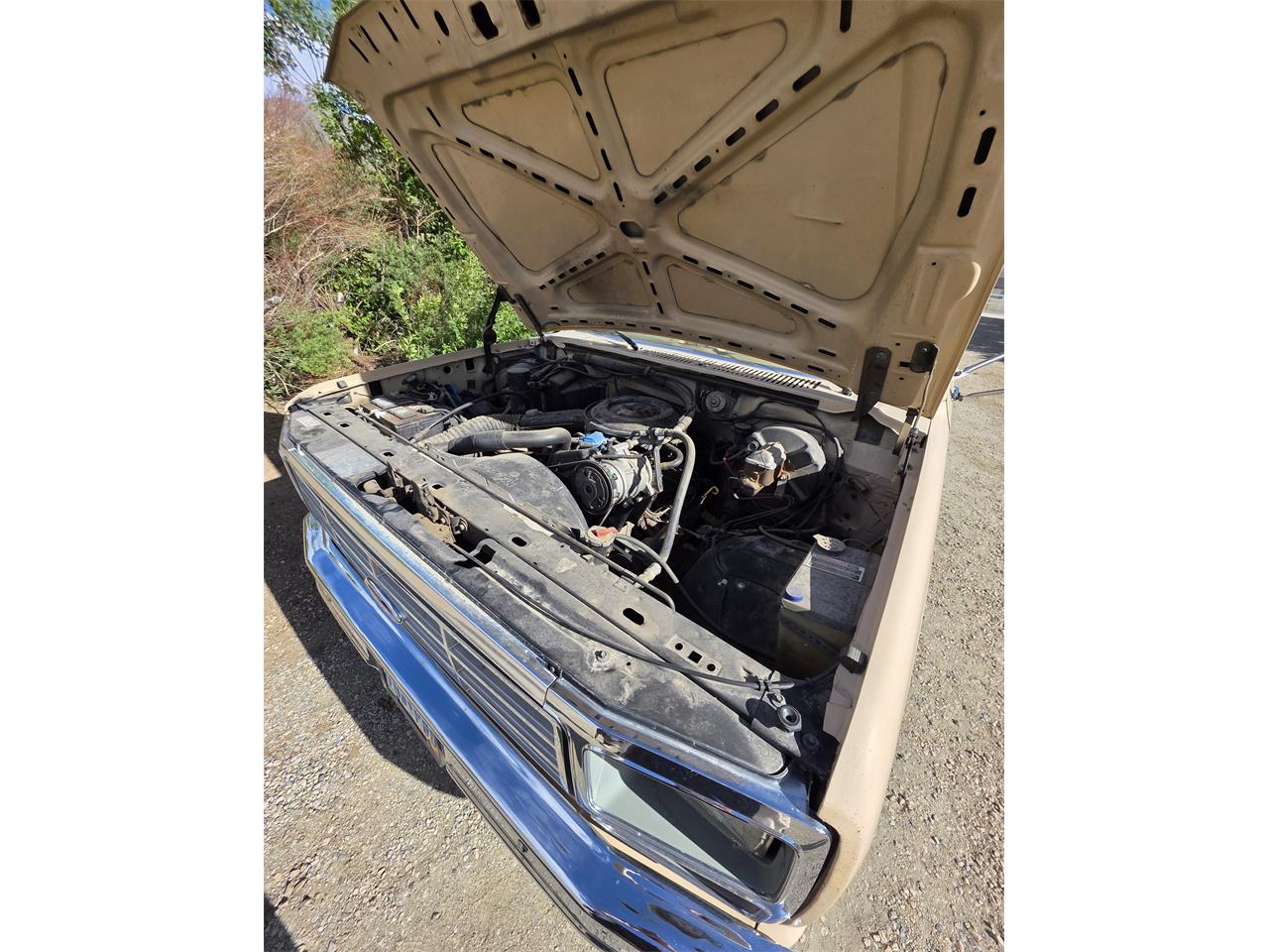 Ford-F250-1985-Tan-Tan-29