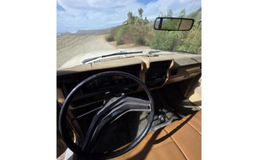 Ford-F250-1985-Tan-Tan-32