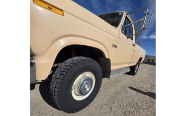 Ford-F250-1985-Tan-Tan-34