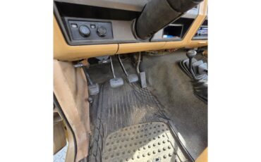 Ford-F250-1985-Tan-Tan-36