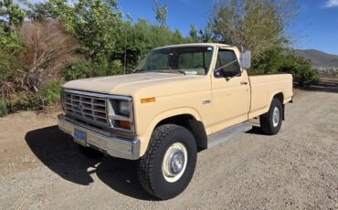 Ford-F250-1985-Tan-Tan