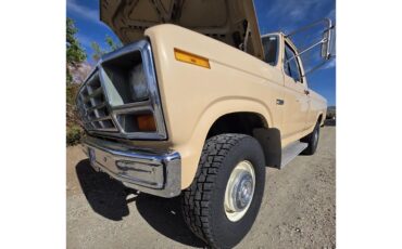 Ford-F250-1985-Tan-Tan-5