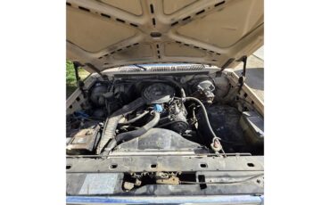 Ford-F250-1985-Tan-Tan-6