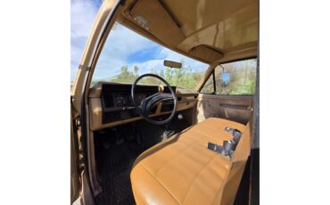 Ford-F250-1985-Tan-Tan-9