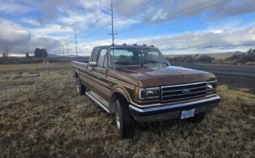 Ford-F250-1989-Brown-Tan-1