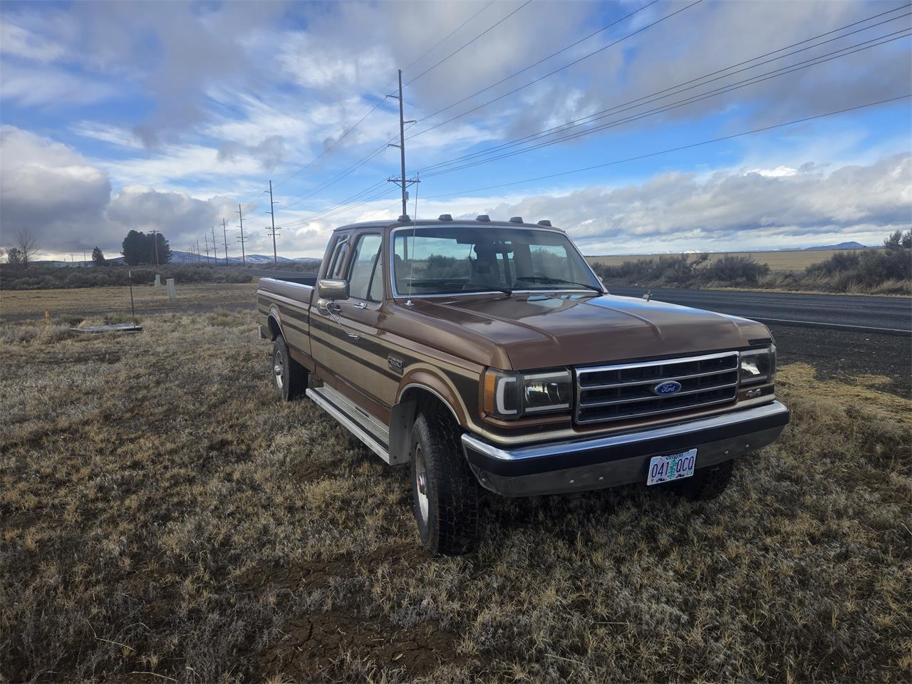 Ford-F250-1989-Brown-Tan-1