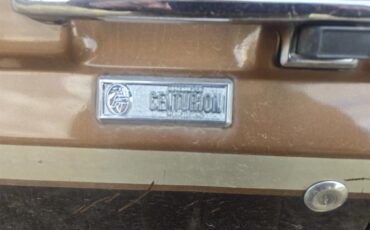 Ford-F250-1989-Brown-Tan-12