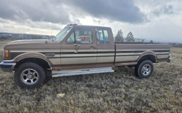 Ford-F250-1989-Brown-Tan-13