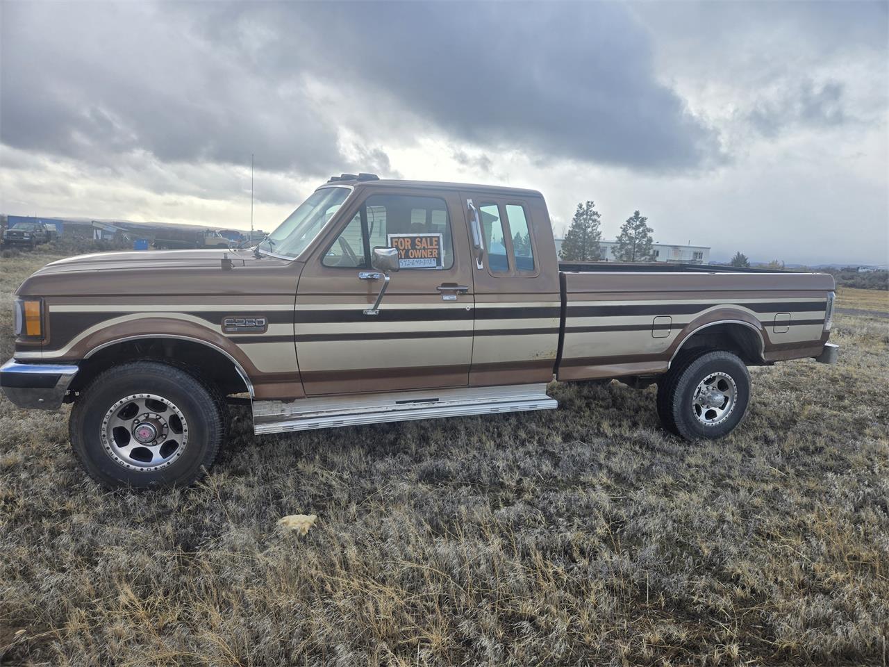 Ford-F250-1989-Brown-Tan-13